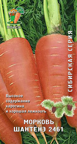 Семена Морковь Шантенэ 2461 2гр Поиск