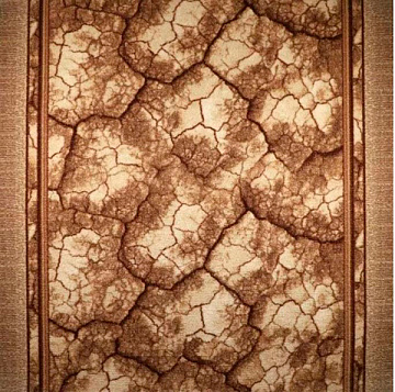 Дорожка 1м ПРИНТ 2151-103 а2