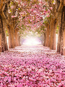 DIVINO DECOR фактурные фотообои Цветущие деревья 200*270 (05 Камушки)