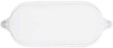 Светильник с/д Smartbuy Овал BT 15Вт/6500К/IP65 (SBL-BT15-65)