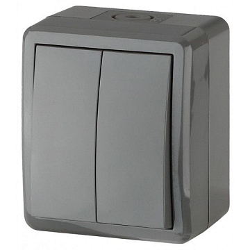 Выключатель двойной ЭРА IP54,10АХ-250В ОУ (11-1404-03) серый