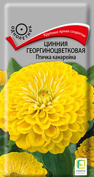 Семена Циния "Птичка канарейка" 0,4г Поиск