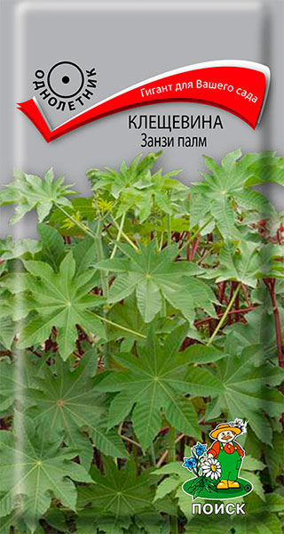 Семена Клещевина Занзи палм 1г Поиск