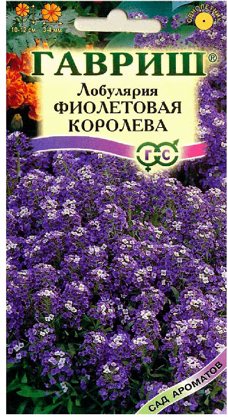 Семена Лобулярия Фиолетовая королева 0,2г Гавриш