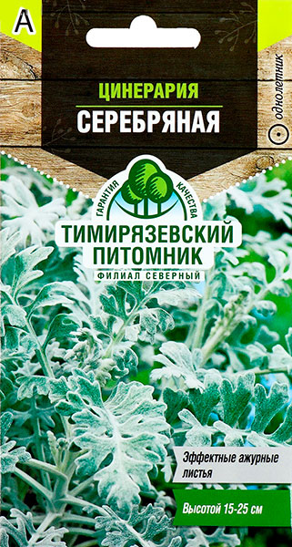 Семена Цинерария Серебряная ТИМИРЯЗЕВСКИЙ ПИТОМНИК 0,05 г