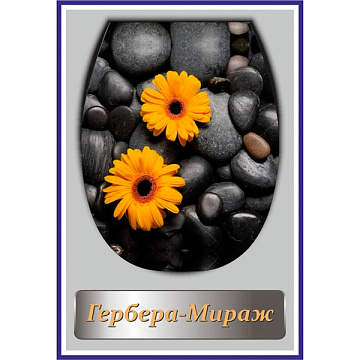 Сиденье для унитаза С ДЕТСКОЙ НАКЛАДКОЙ "Океан LUX с рисунком "ГЕРБЕРА МИРАЖ"