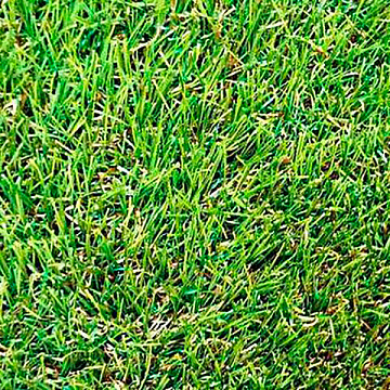 Напольное покрытие 1м 18мм GRASS MIX трава