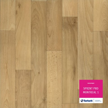 Линолеум Tarkett 2,5 м Спринт Монреаль 1 PRO