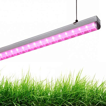 Светильник IN HOME СПБ-Т8-ФИТО LEED 10Вт IP40 600мм