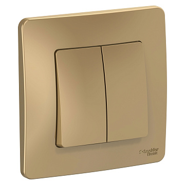 Выключатель BLANCA 2кл 10А 250В титан BLNVS010504