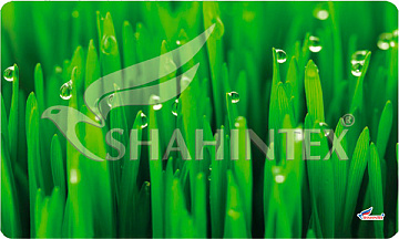 Коврик универсальный SHAHINTEX SPRING PHOTOPRINT SH P131 60*90