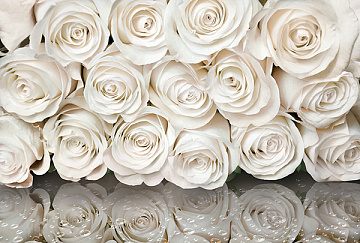DIVINO DECOR фактурные фотообои Розы с отражением 400*270 01 холст